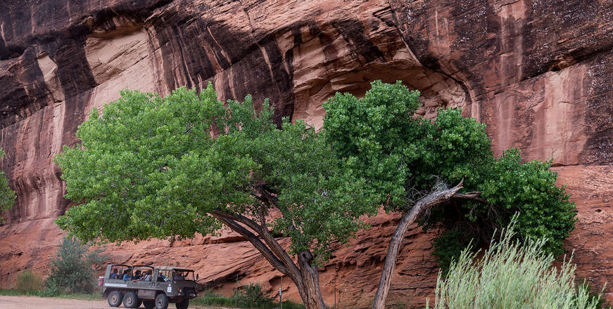 canyon de chelly tours thunderbird lodge